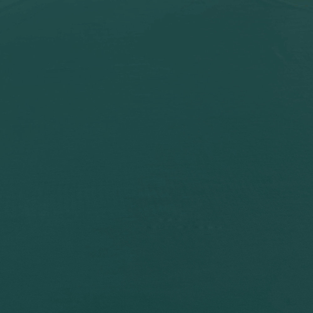 Bamboo Jersey Uni BV18 - petrol