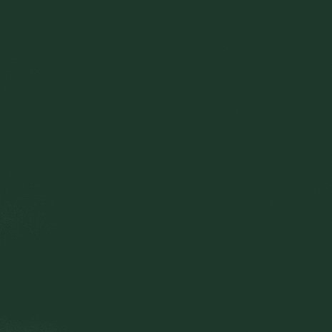 Scuba Crepe CR37 - vert bouteille Scuba Crepe CR37 - vert bouteille