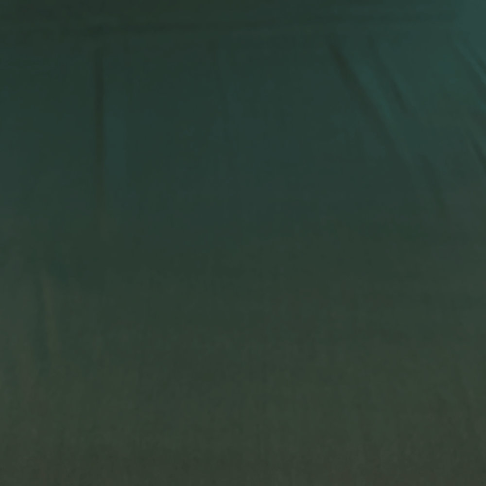 Soie Stretch SD06 - vert foncé