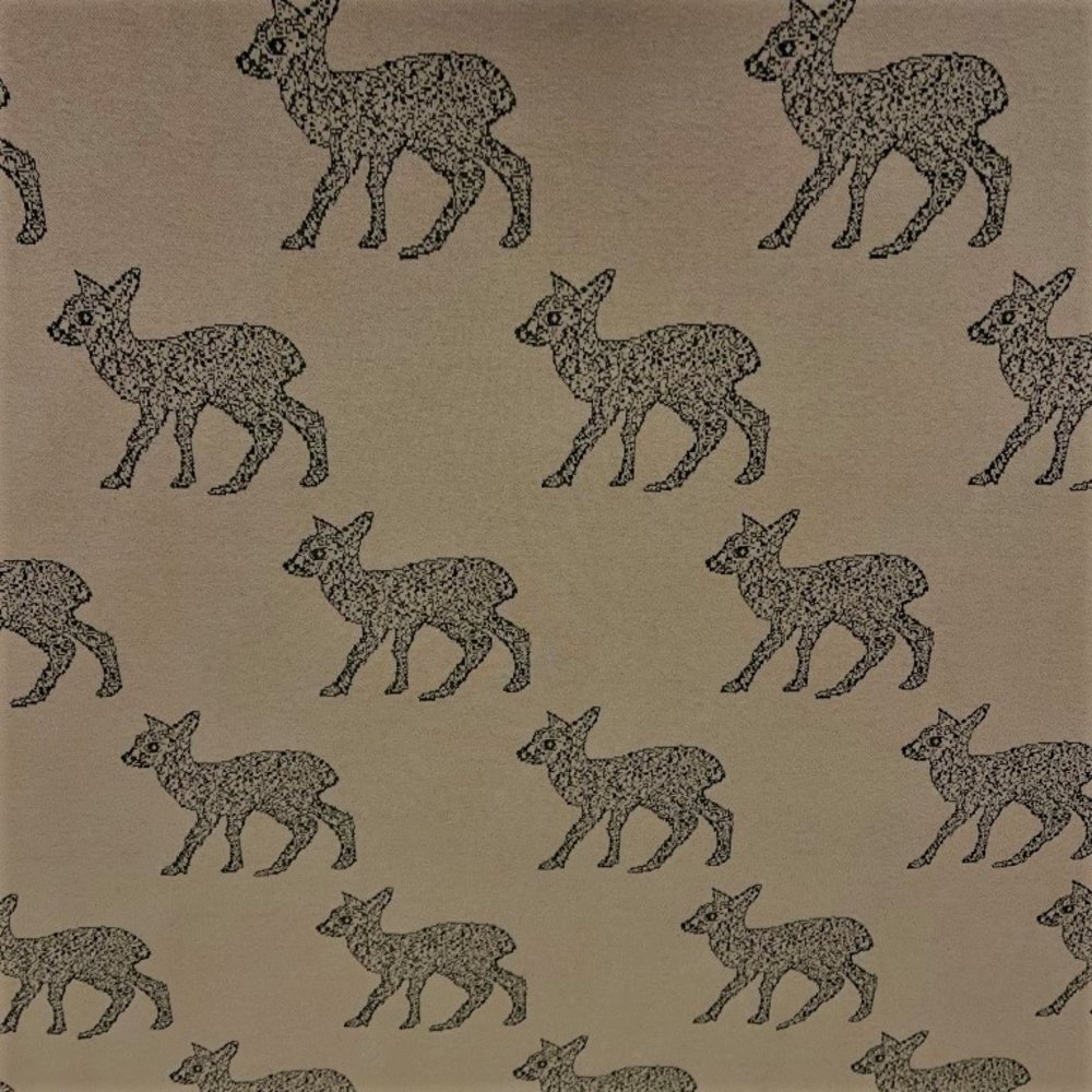 Pointe de Rome 3590 Pointe de Rome 3590