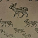 Pointe de Rome 3590 Pointe de Rome 3590