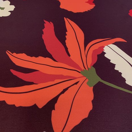 Pointe de Rome+ 3811 Pointe de Rome+ 3811