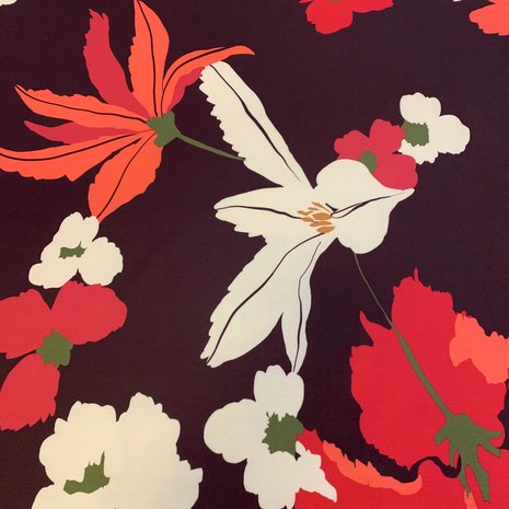 Pointe de Rome+ 3811 Pointe de Rome+ 3811