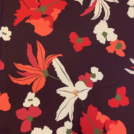 Pointe de Rome+ 3811 Pointe de Rome+ 3811