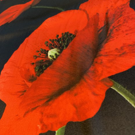 Silk stretch inkjet 3833 Silk stretch inkjet 3833