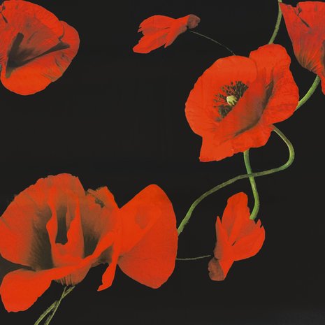 Silk stretch inkjet 3833 Silk stretch inkjet 3833