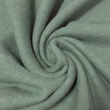 Boiled Wool Uni CW27 - powder green