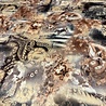 Jersey Design 3948 Jersey Design 3948