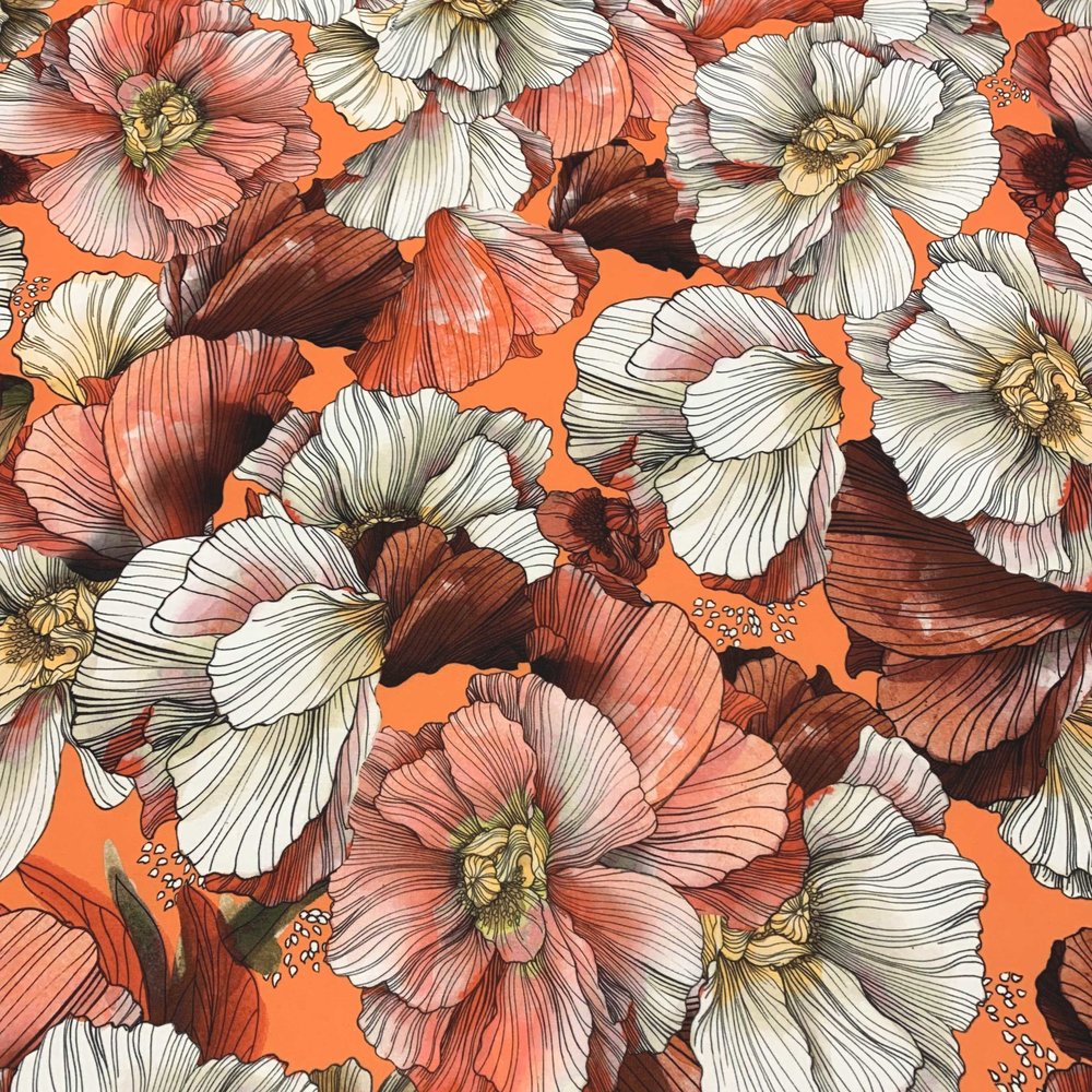 Punta di Roma+ 4000 Punta di Roma+ 4000