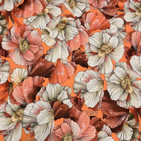 Punta di Roma+ 4000 Punta di Roma+ 4000