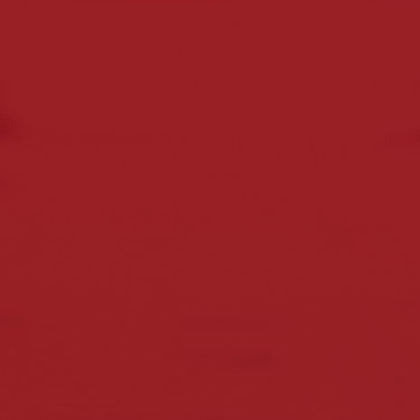 Jersey Bambou Lourd Uni BH02 - rouge