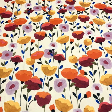 Pointe de Rome+ 4014