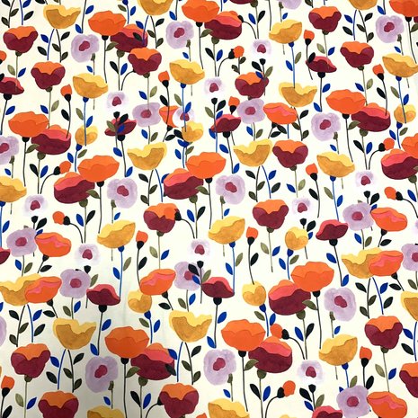 Pointe de Rome+ 4014