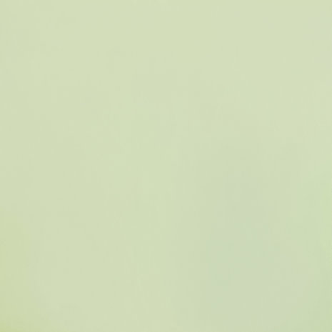 Terlenka 4-Way Stretch TS35 - Vert menthe