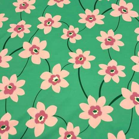 Pointe de Rome+ 4424 Pointe de Rome+ 4424