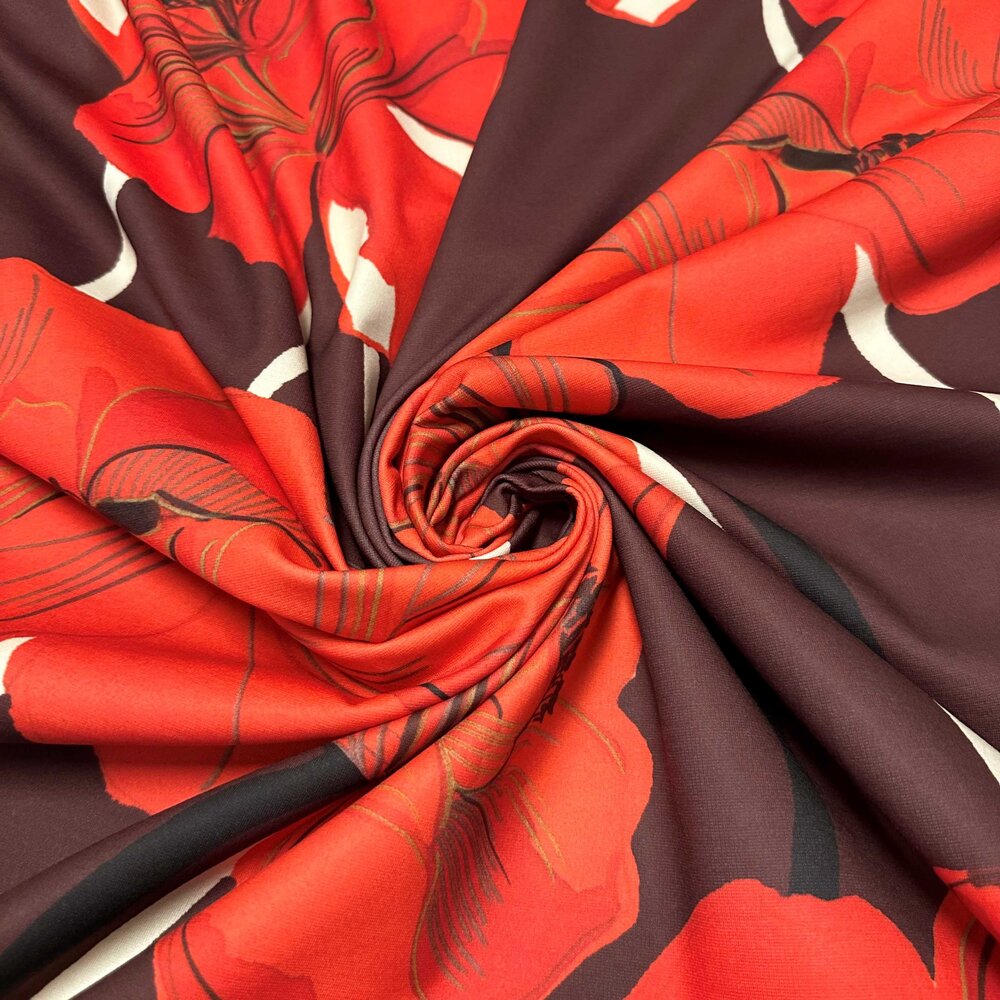 Pointe de Rome+ 4654 Pointe de Rome+ 4654