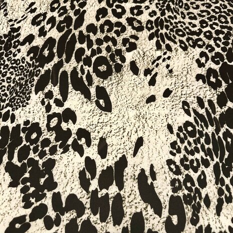 Pointe de Rome+ 4659