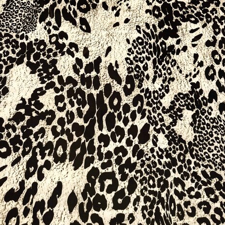 Pointe de Rome+ 4659