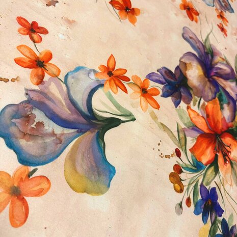 Pointe de Rome+ 4663 Pointe de Rome+ 4663