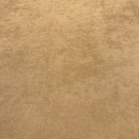 Velours Côtelé Fin - BA04 - Beige