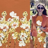 Punta di Roma+ 4889 Punta di Roma+ 4889