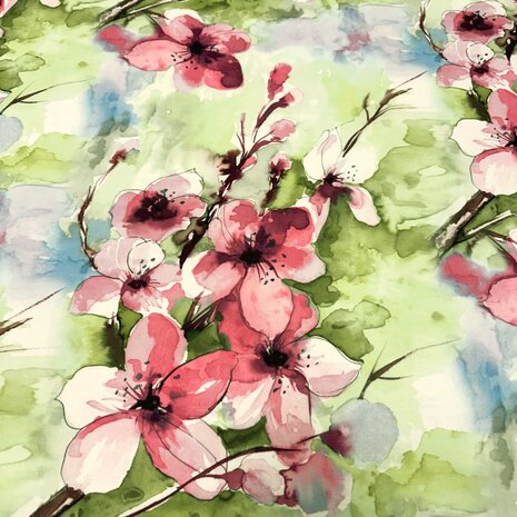 Pointe di Roma+ 4898