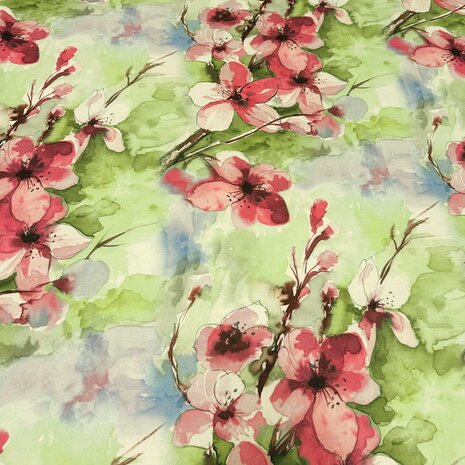 Pointe di Roma+ 4898