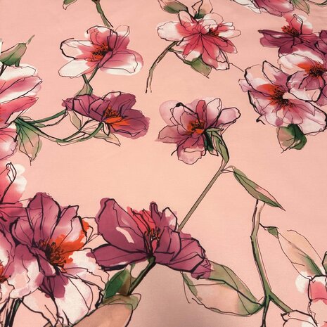 Pointe de Rome+ 4916 Pointe de Rome+ 4916