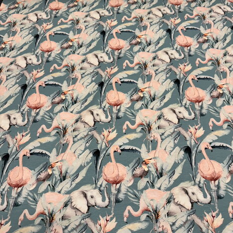 Cotton Jersey 5062 Cotton Jersey 5062