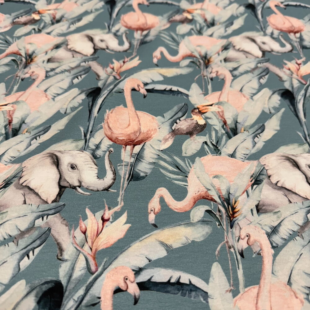 Cotton Jersey 5062 Cotton Jersey 5062