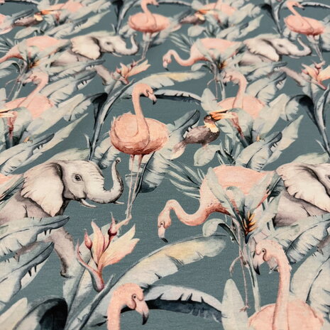 Cotton Jersey 5062 Cotton Jersey 5062