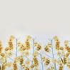 VJ COUPON - Punta Di Roma 3006 (PANEL) 115X140CM (VLK+SPG) VJ COUPON - Punta Di Roma 3006 (PANEL) 115X140CM (VLK+SPG)