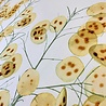 VJ COUPON - Punta Di Roma 3006 (PANEL) 115X140CM (VLK+SPG) VJ COUPON - Punta Di Roma 3006 (PANEL) 115X140CM (VLK+SPG)