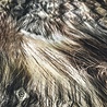 Viskose-Satin Inkjet 5145 Viskose-Satin Inkjet 5145
