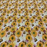 Cotton Jersey 5153 Cotton Jersey 5153