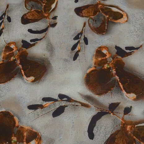 Punta di Roma+ 5223 Punta di Roma+ 5223