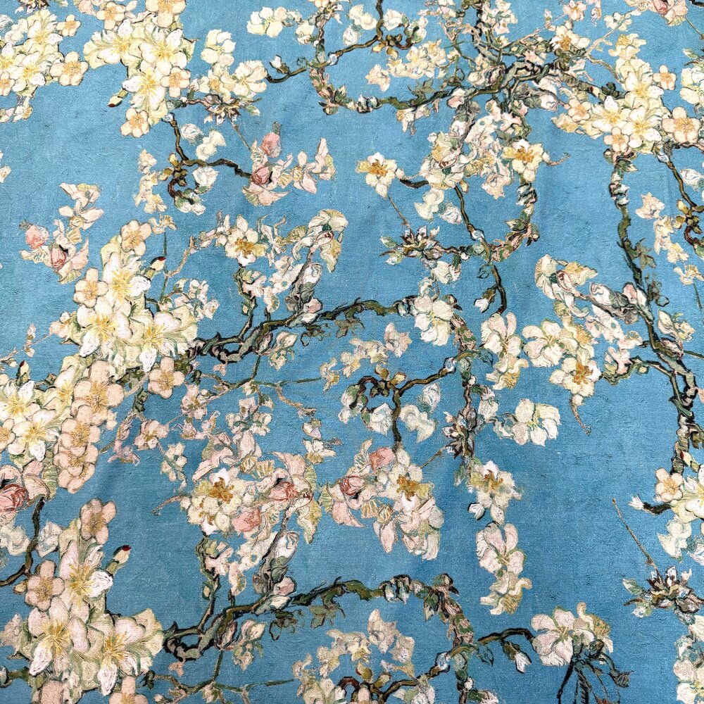 Bambus-Jersey-Design - 5273 Bambus-Jersey-Design - 5273