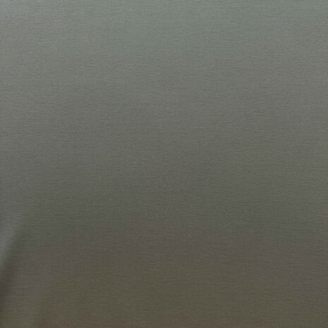 Punta di Roma 5317 - green/gray