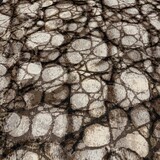 NJ COUPON - Punta di Roma+ 5228 70X140CM