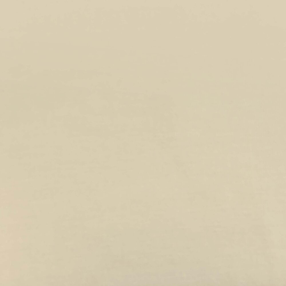 COUPON NJ - Jersey de bambou Uni BV05 - beige clair 80x145cm