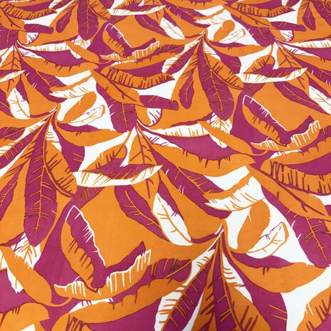 Punta di Roma+  5366