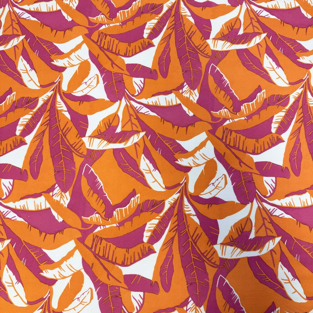 Punta di Roma+  5366