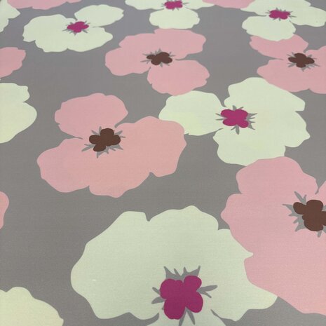 Punta di Roma+  5381