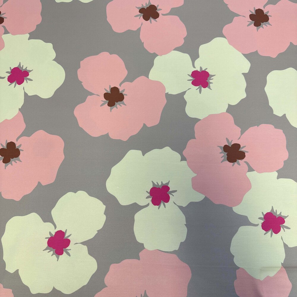 Punta di Roma+  5381