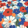 VJ-COUPON - Punta di Roma+ 4420 110X140CM