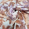 COUPON VJ - Batiste de coton brodée 5474 125 x 140 cm COUPON VJ - Batiste de coton brodée 5474 125 x 140 cm