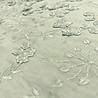 VJ COUPON - Cotton Batiste Embroidered 4516 - powder green 100X140CM
