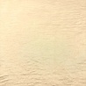 Silky Satin Stretch SI20 - vanilla cream