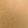 VJ COUPON - Kunstleder IL21 - Sommergelb 60 x 140 cm (flach) VJ COUPON - Kunstleder IL21 - Sommergelb 60 x 140 cm (flach)
