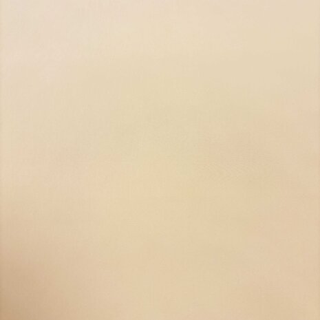 Terlenka 4-Way Stretch TS41 - vanille beige
